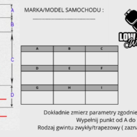 Komplet amortyzatorów z poduszkami pneumatycznymi LCW – Air Ride