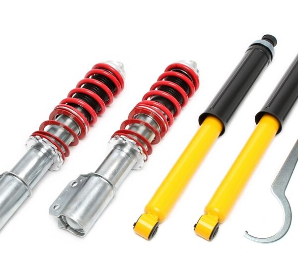 Zawieszenie gwintowane TA Technix – R19 I+II, -Chamade, -Cabriolet