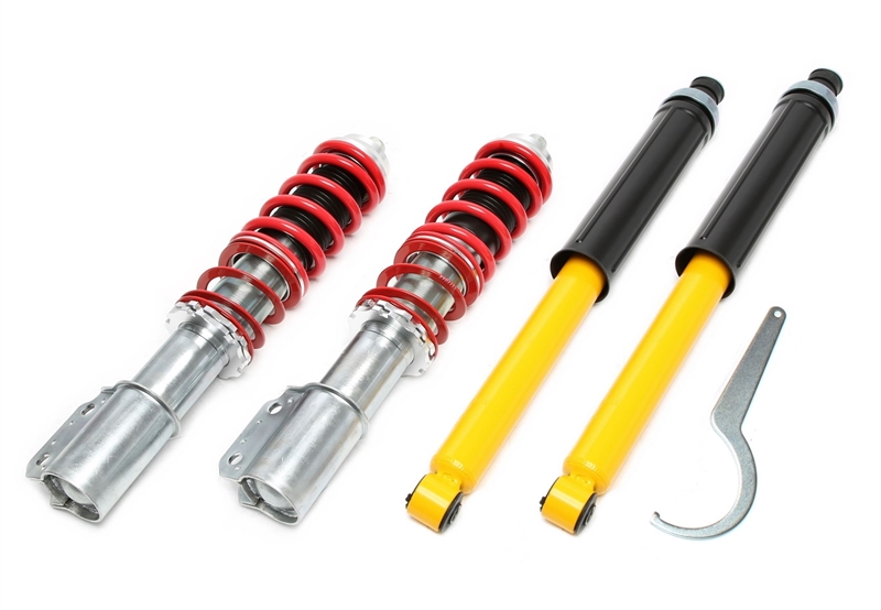 Zawieszenie gwintowane TA Technix – R19 I+II, -Chamade, -Cabriolet